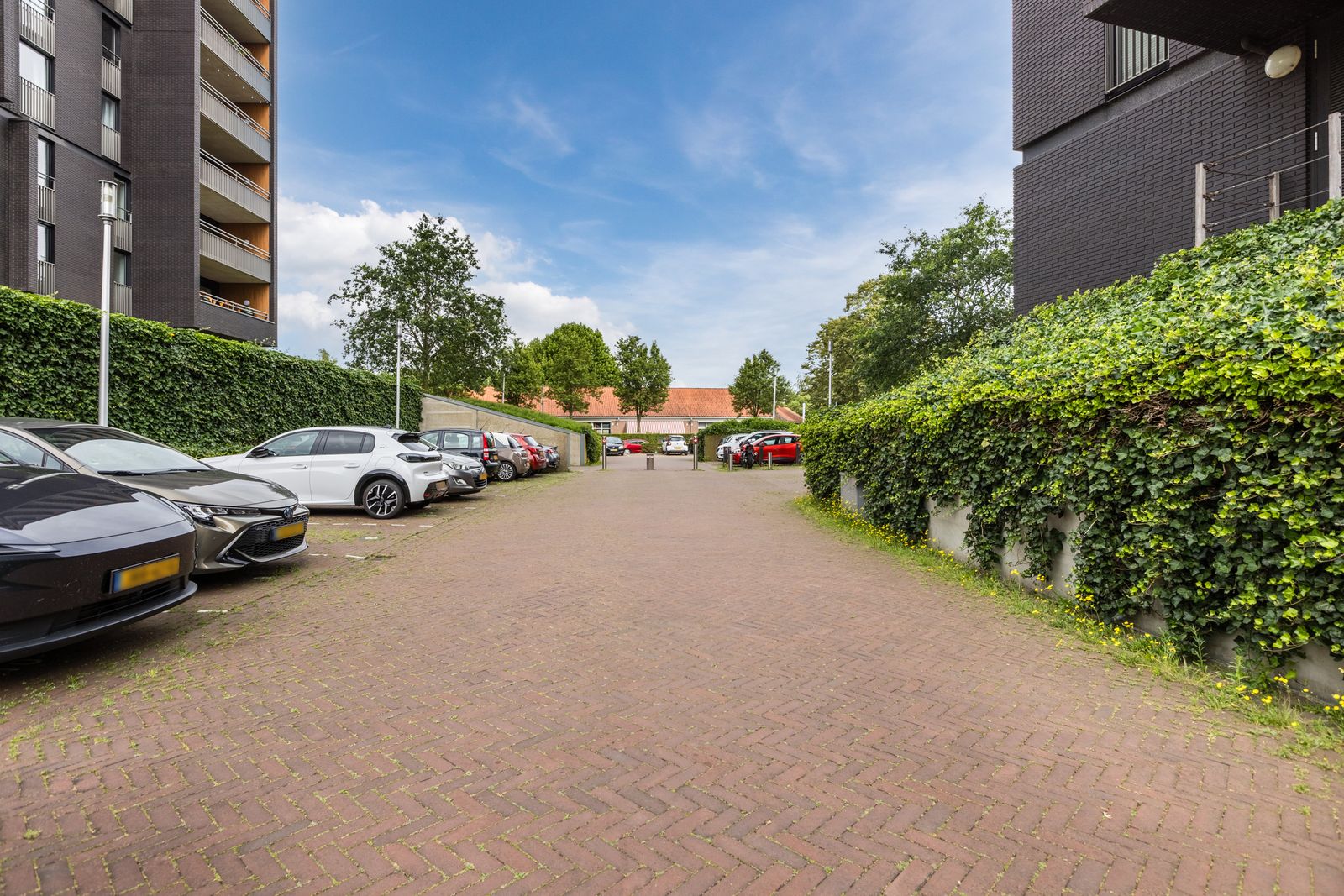 Dirk Hartogstraat 245