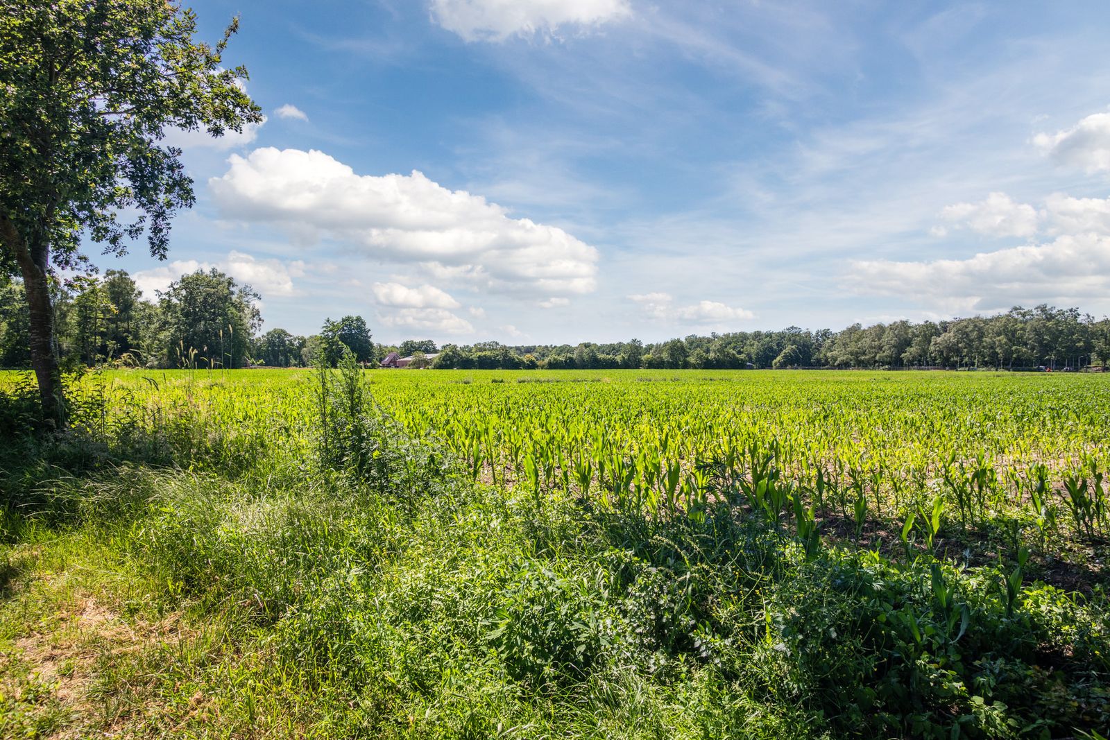 Fokkerweg 42