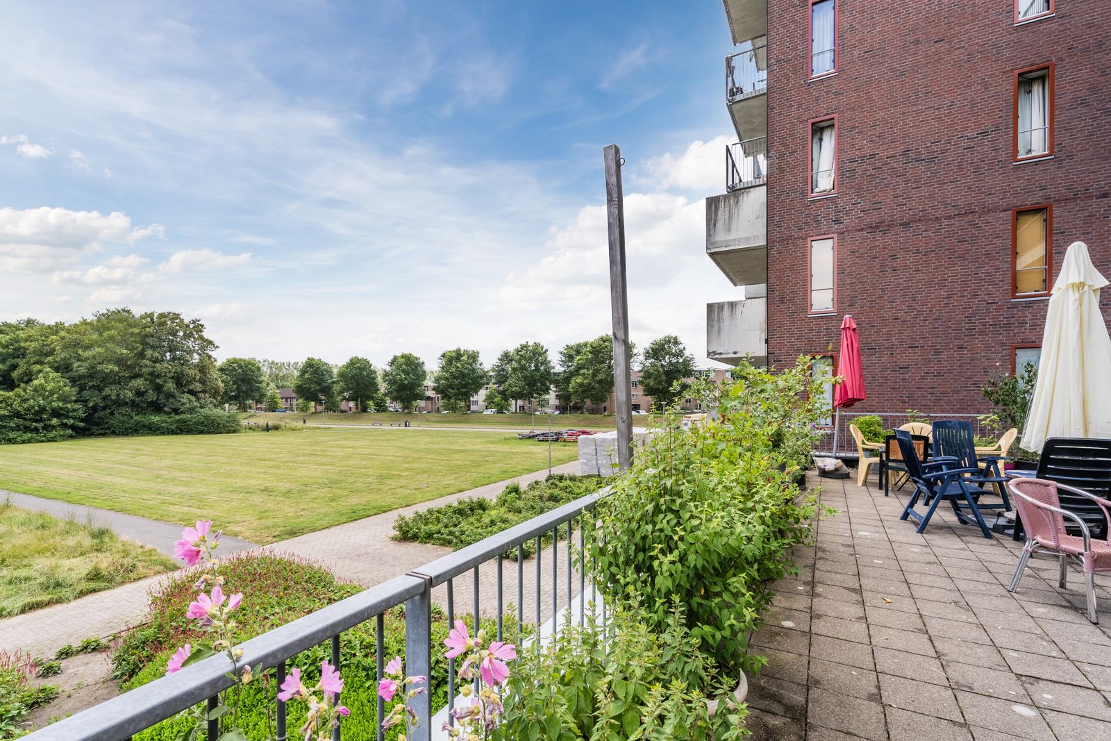Zevenkampse Ring 376