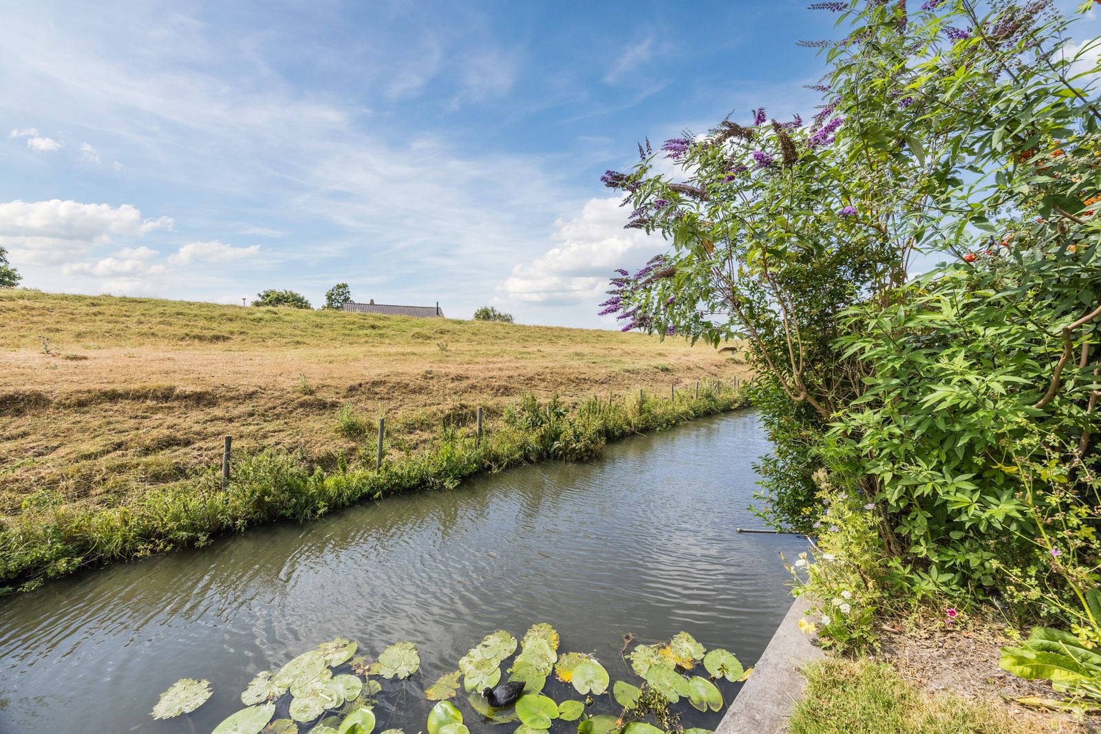 Brederolaan 32