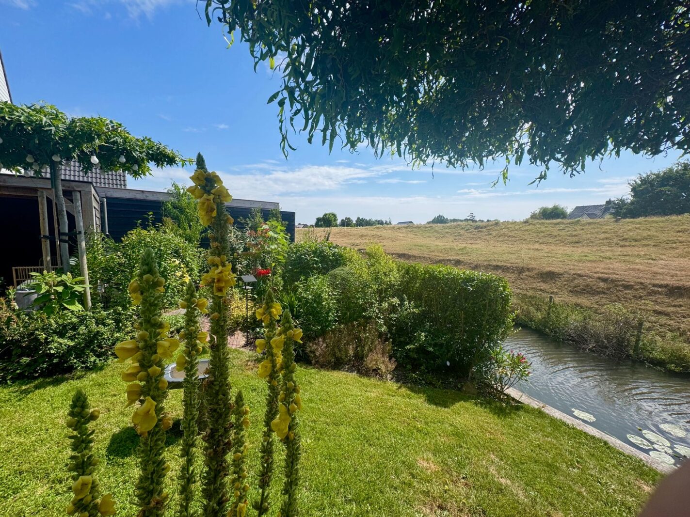 Brederolaan 32
