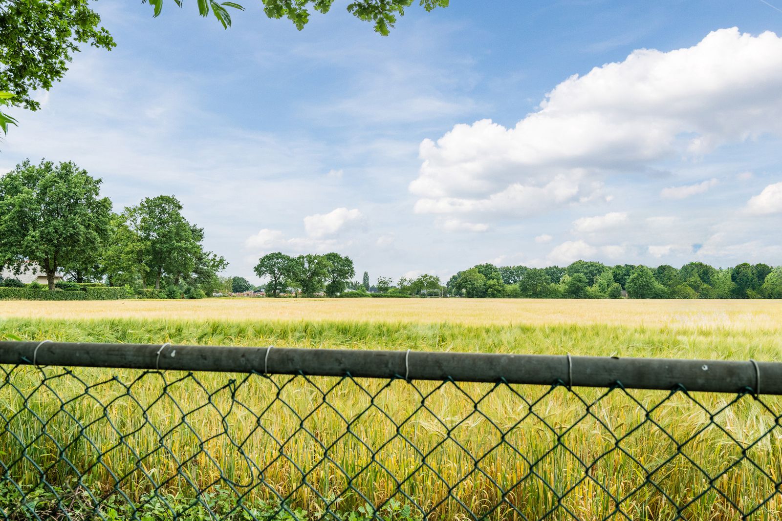 Koeweg 16-11