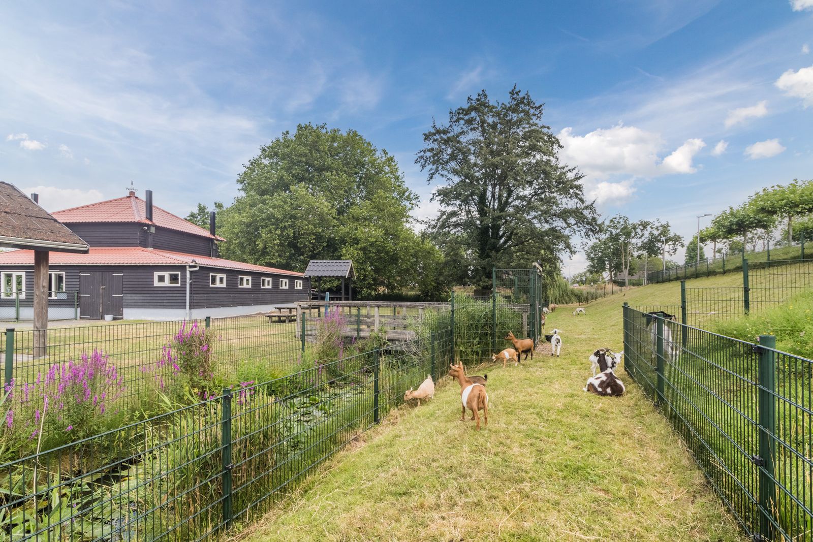 Houtstraat 49