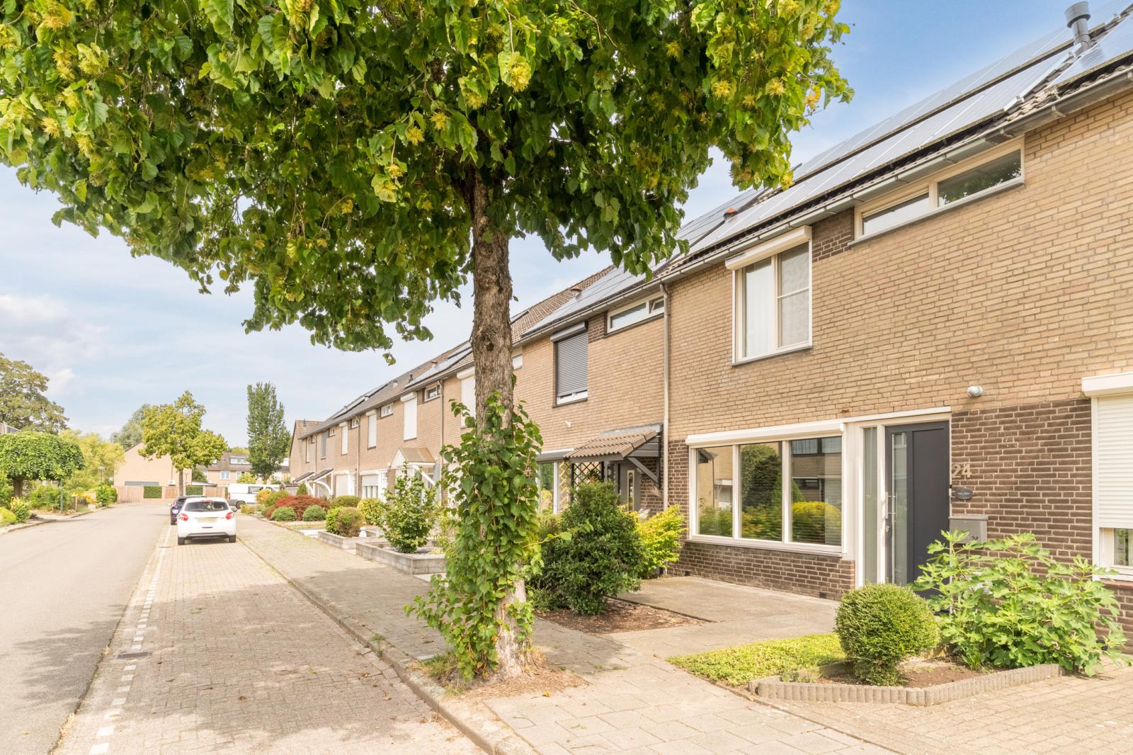 Wolgastraat 24