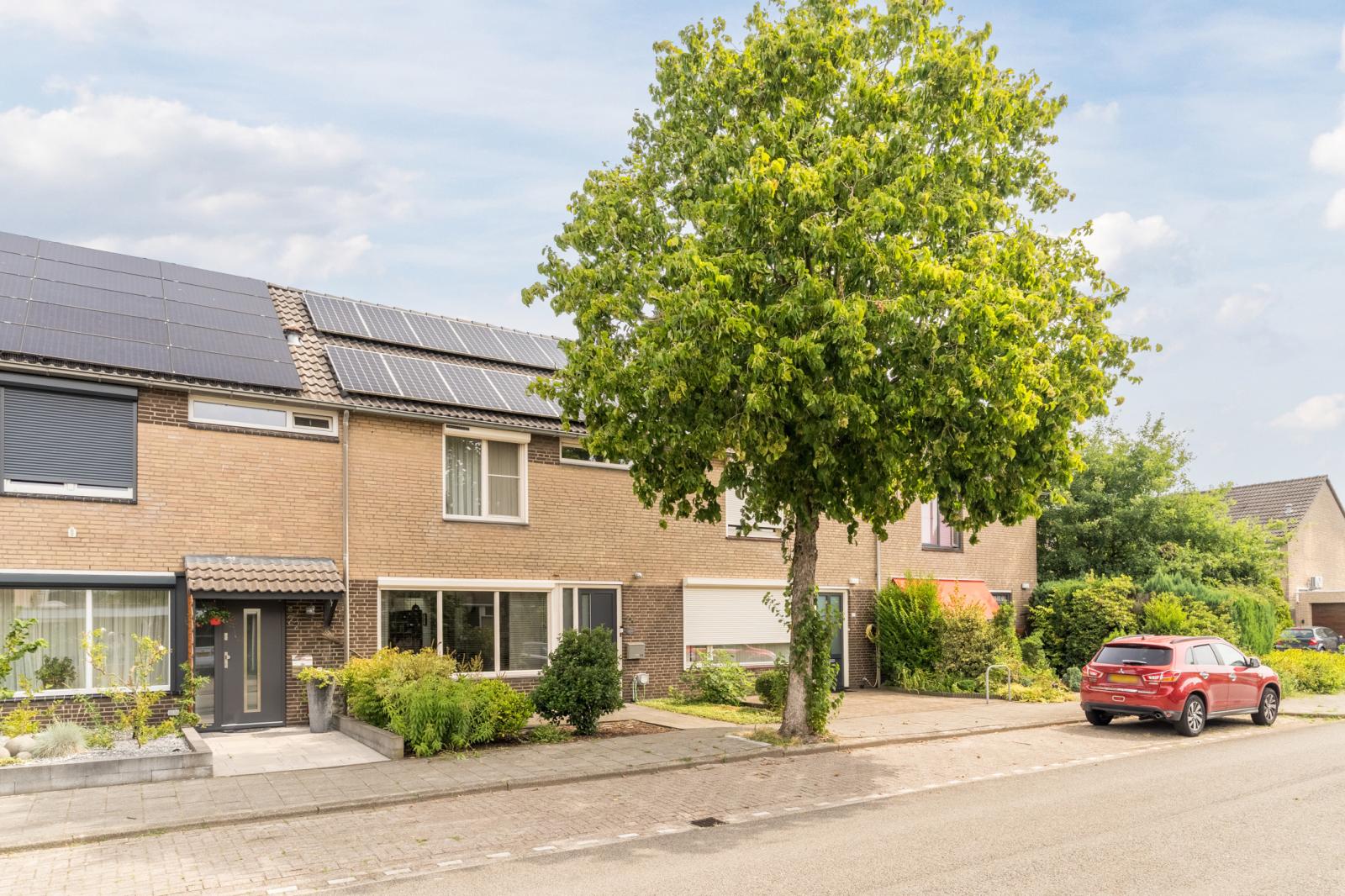 Wolgastraat 24