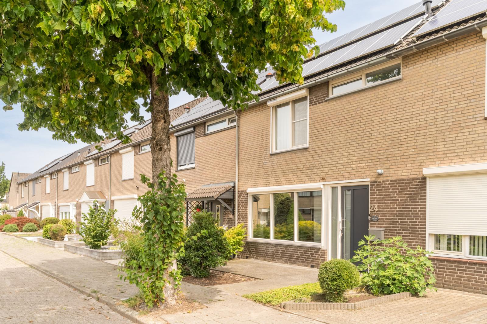 Wolgastraat 24