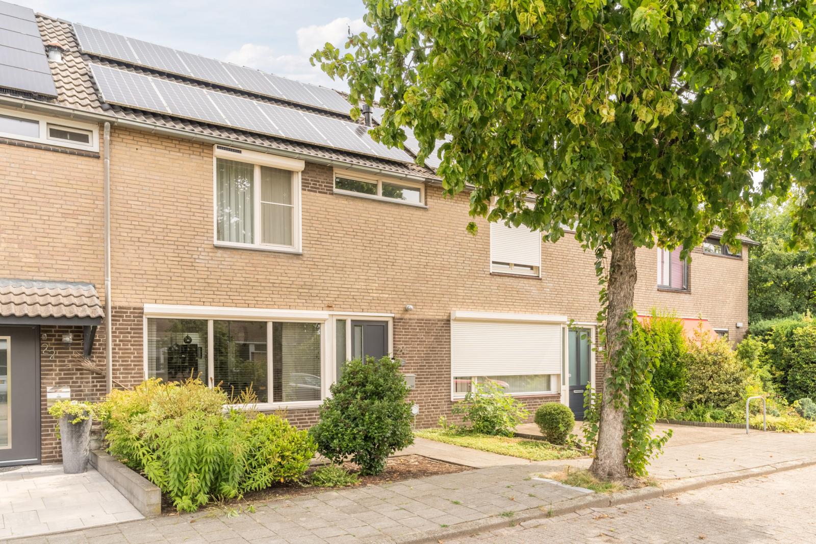 Wolgastraat 24