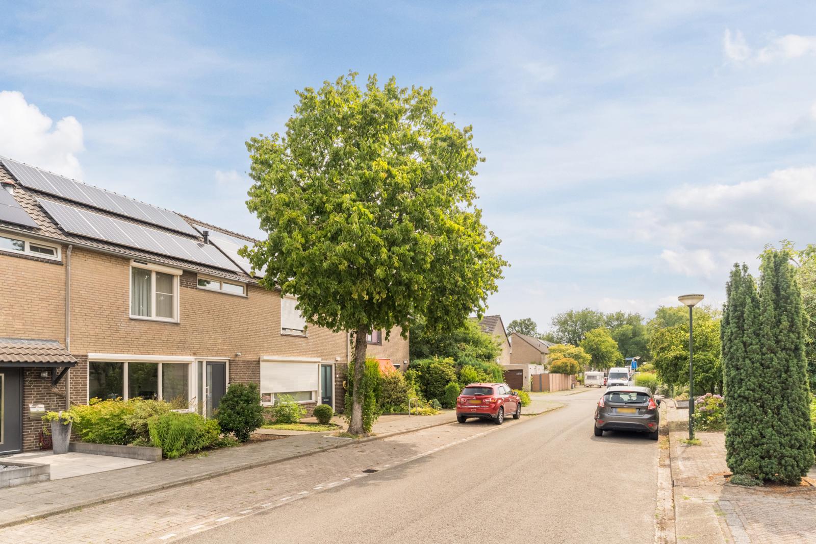 Wolgastraat 24