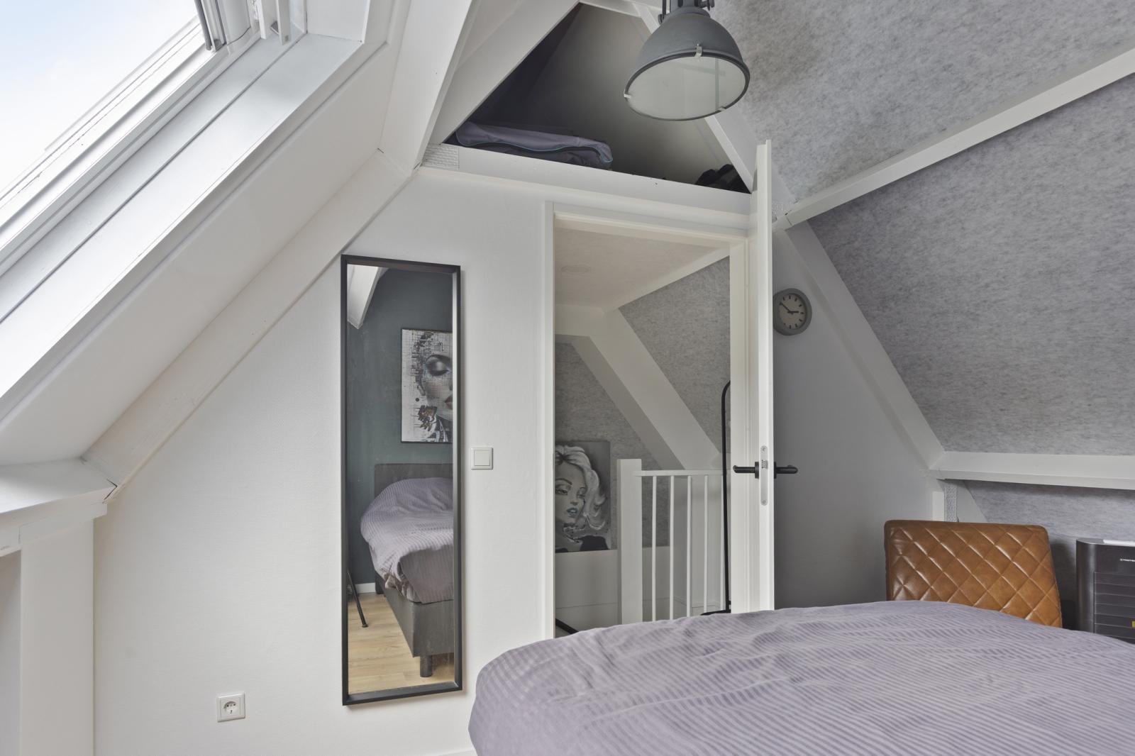 Schoener 42 47