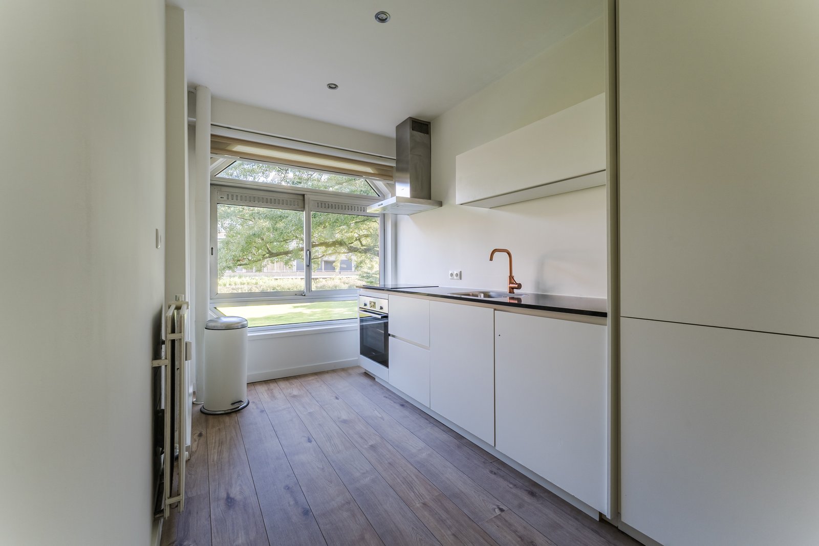 Meander 563