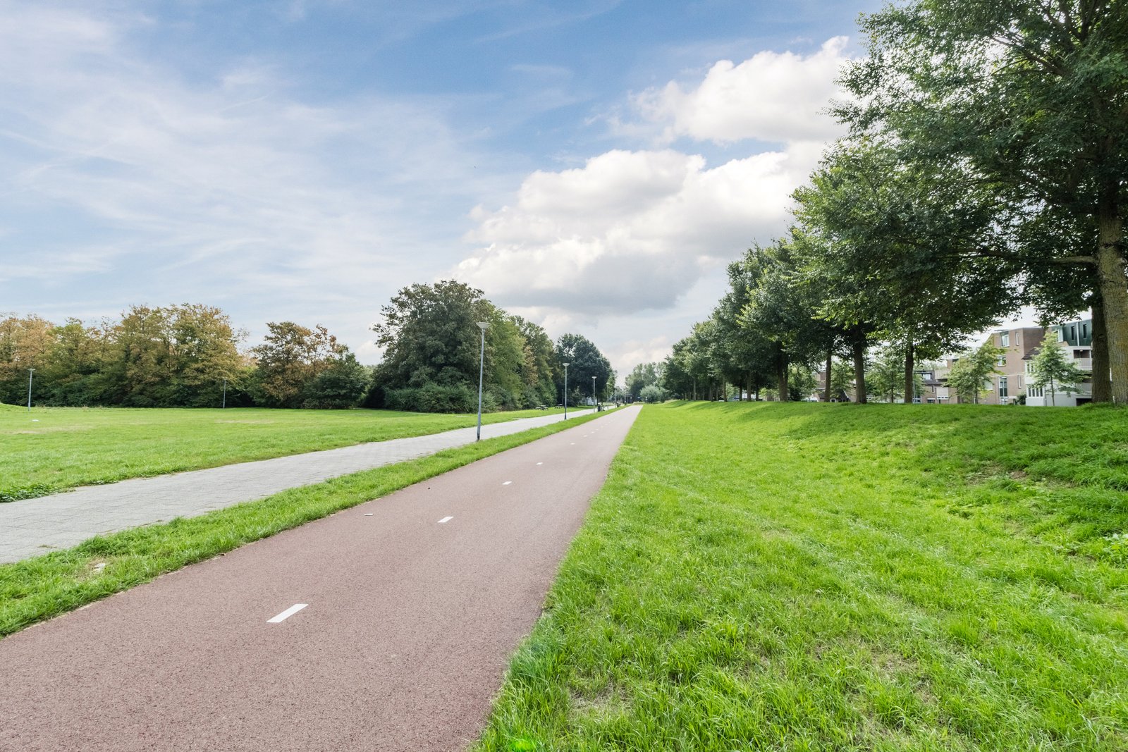 Rietdekkerweg 100