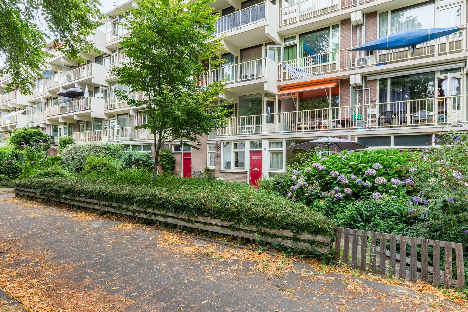 Zilverberg 74