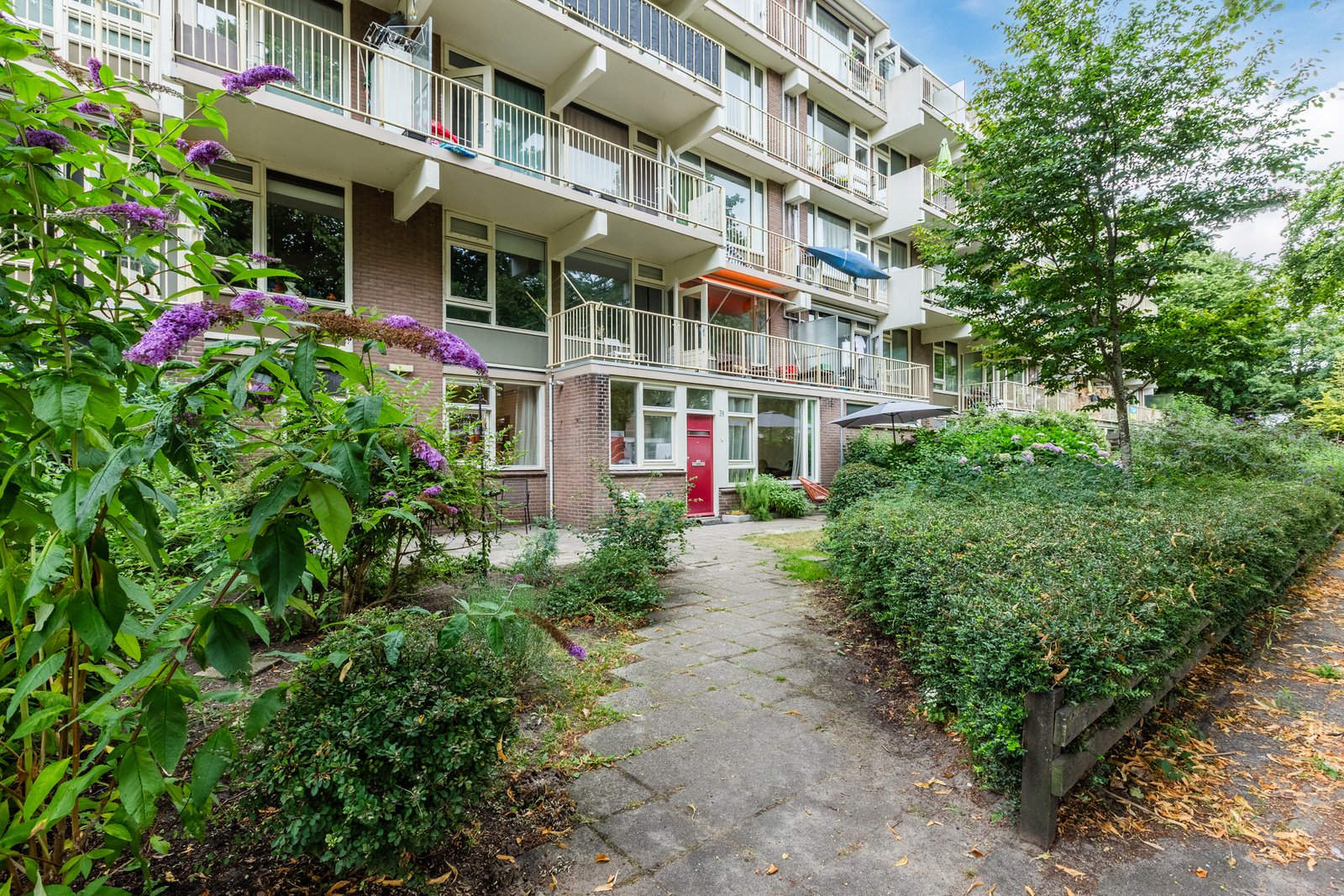 Zilverberg 74