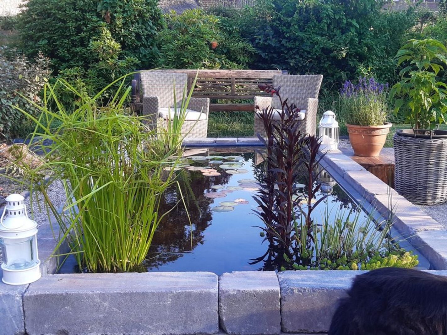 Binnenpad 44