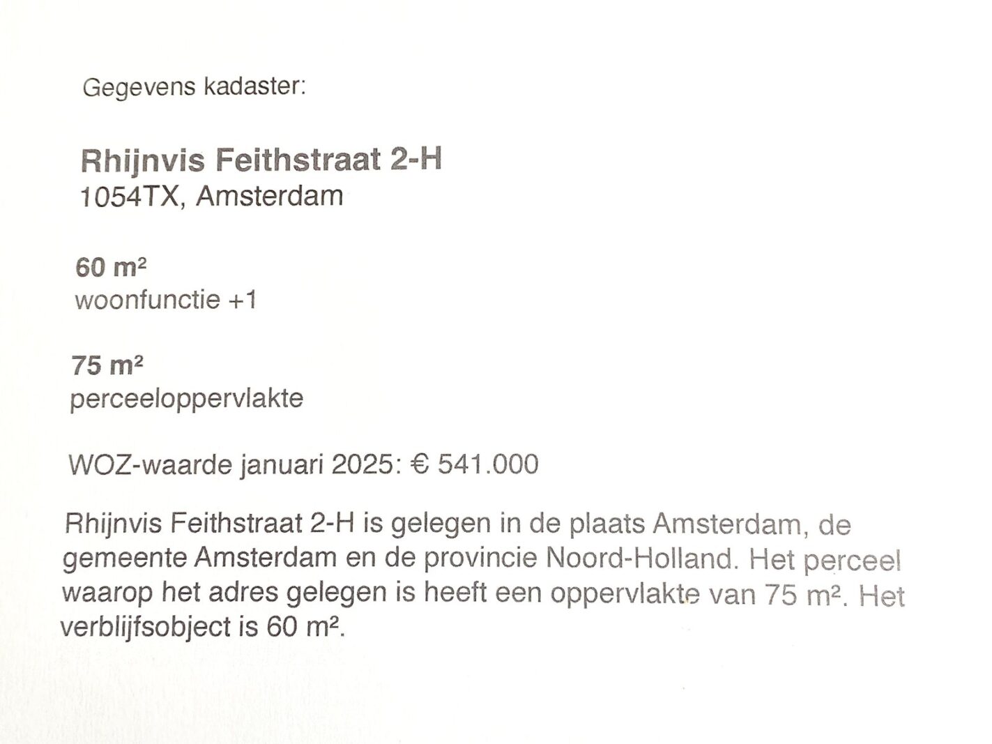 Rhijnvis Feithstraat 2H