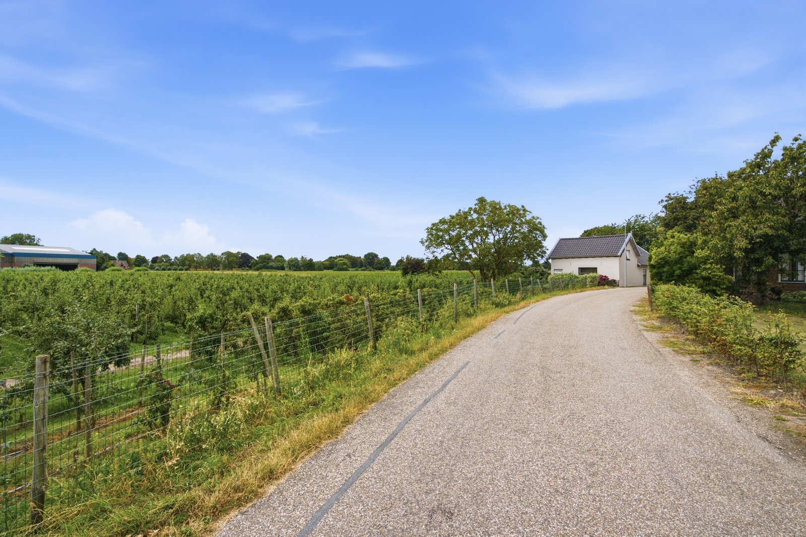 Middelweg 11