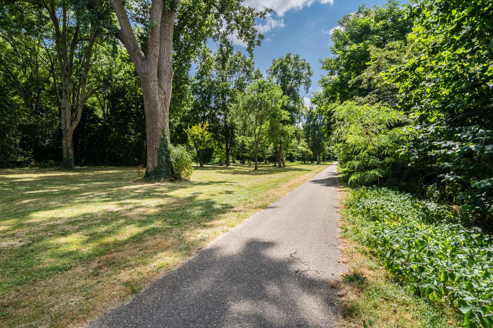 Plantageweg 59