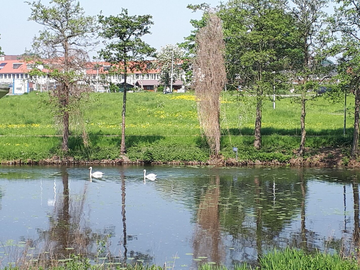 Loodskotterhof 83