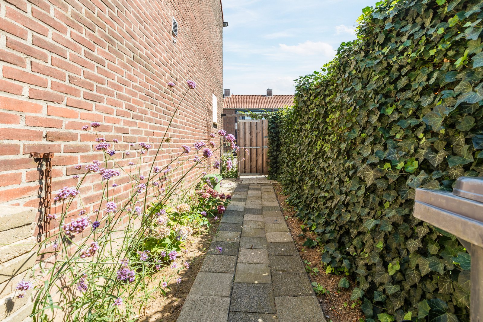Watermuntstraat 44