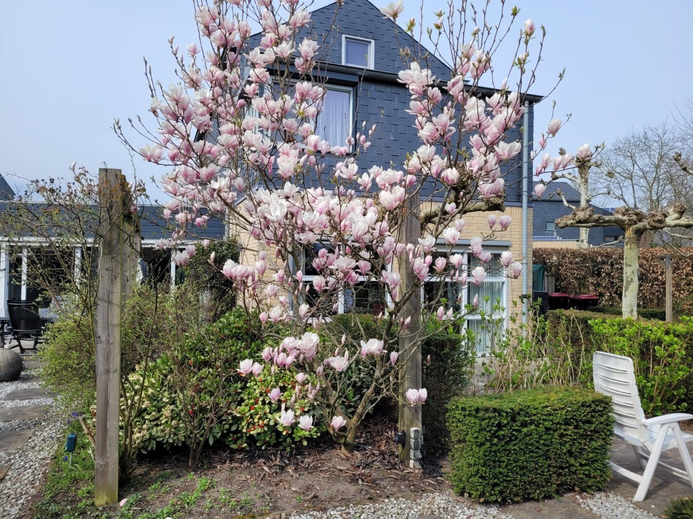 Vossenbeshof 4