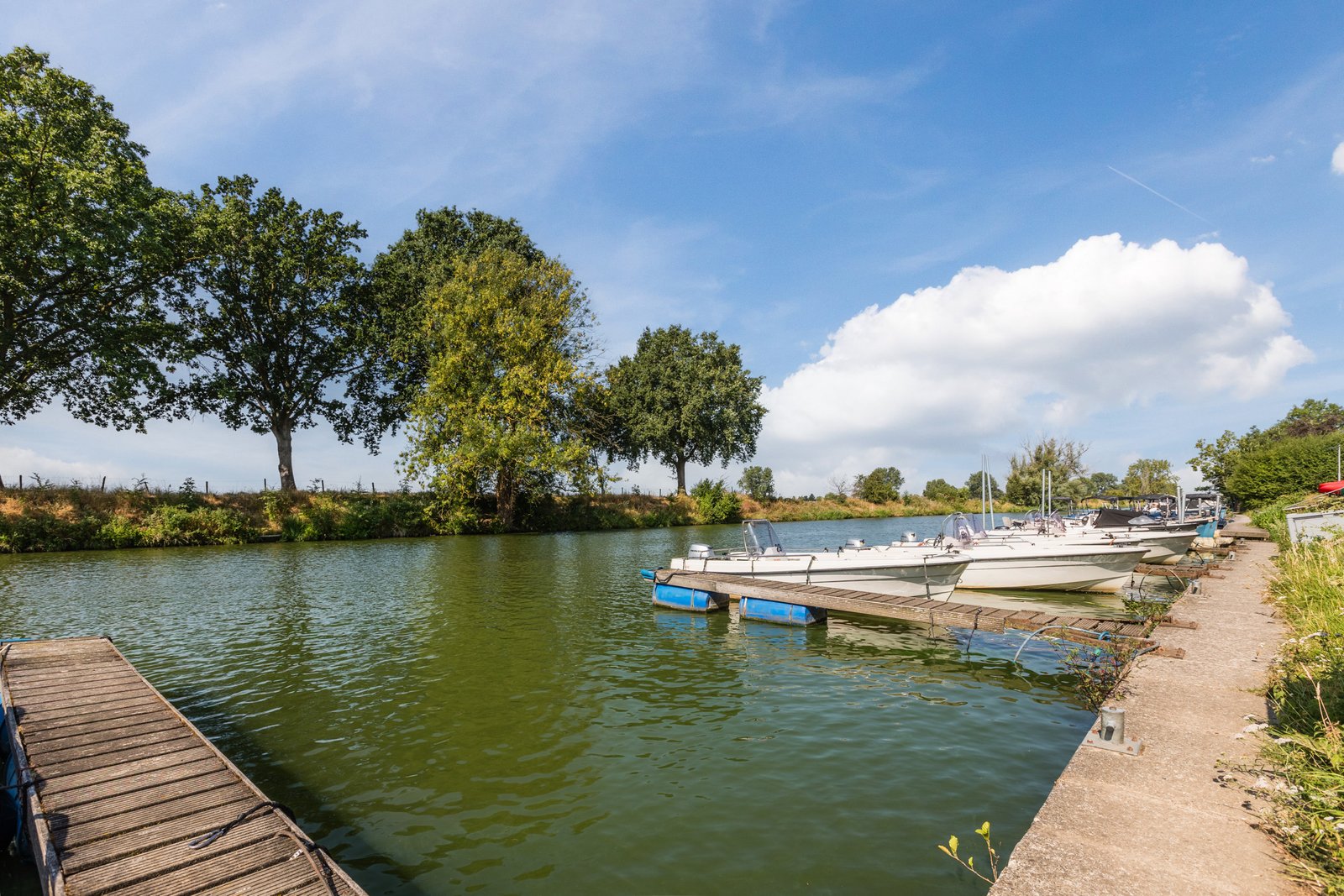 Lindeboom 61