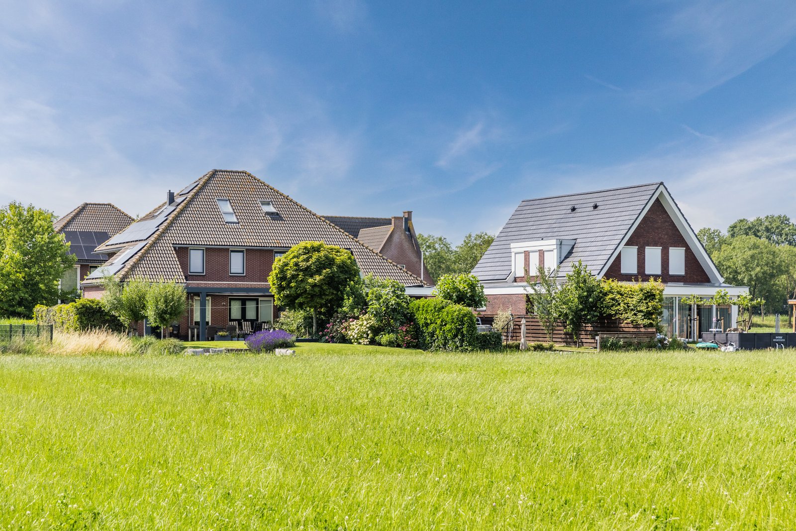 De Eendracht 11