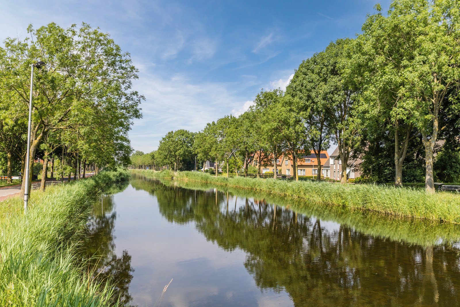 De Eendracht 11