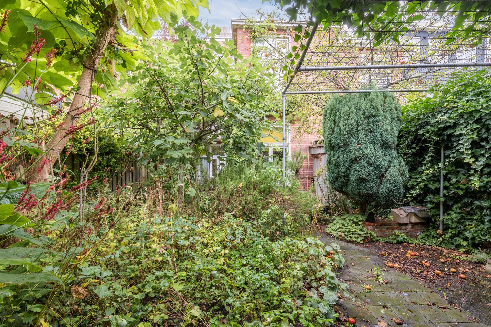 Tuinbouwstraat 26