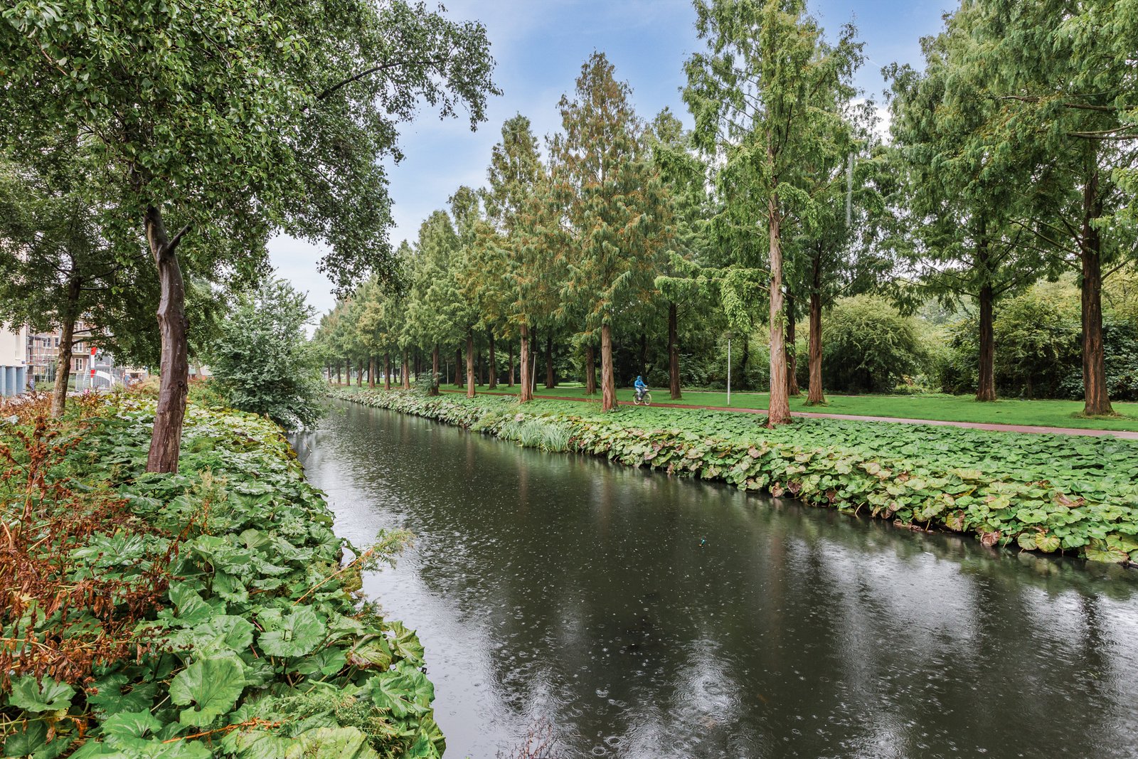Freek Oxstraat 23-2