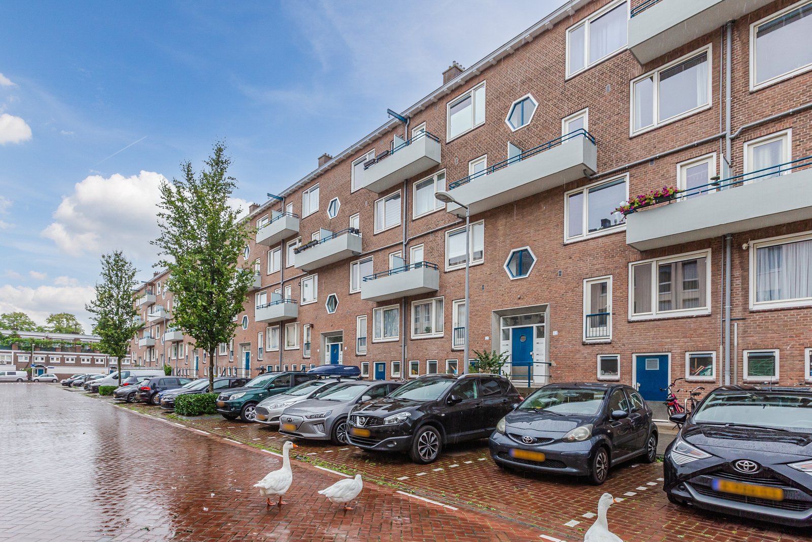 Freek Oxstraat 23-2