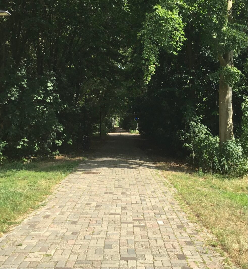 Duinvoetstraat 29