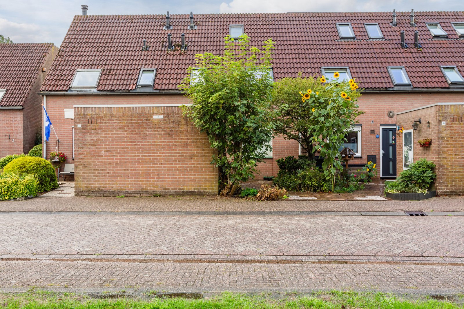 Hoekwierde 47