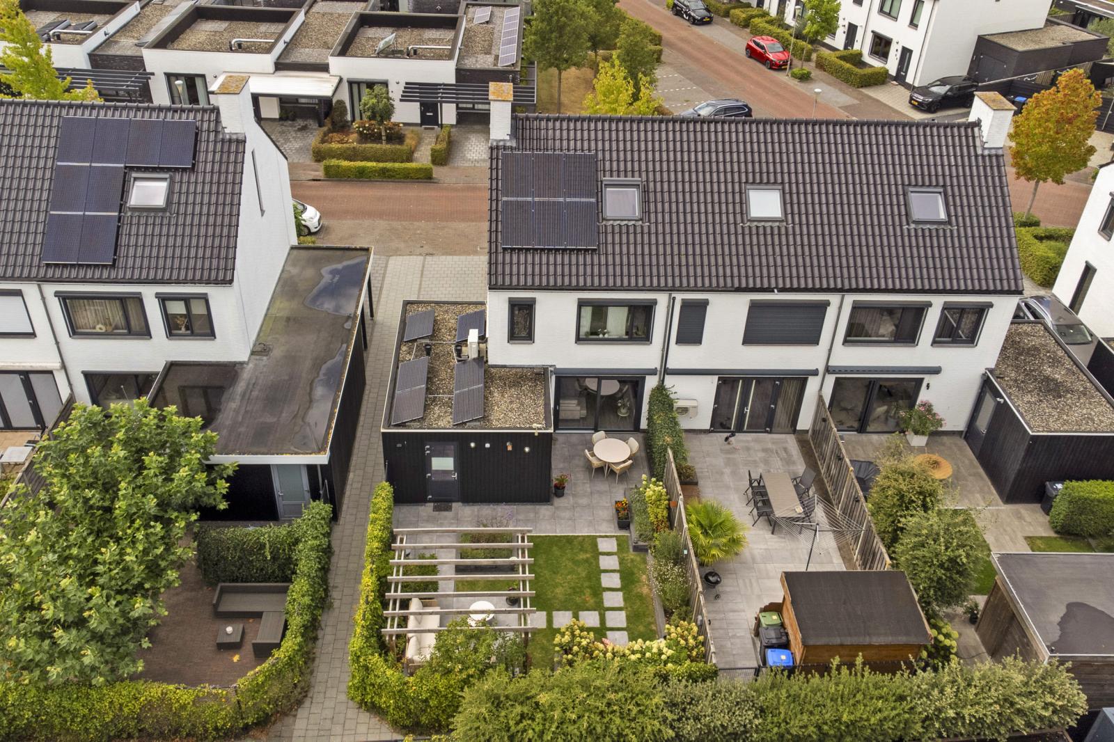 De Veilingmeester 46