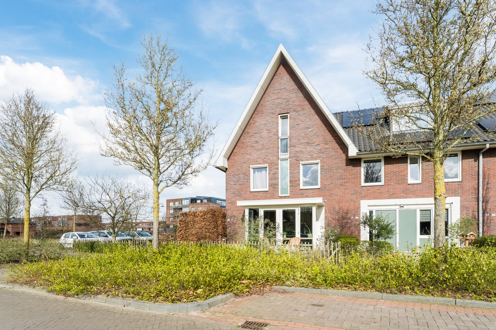 Zijdevlinder 117