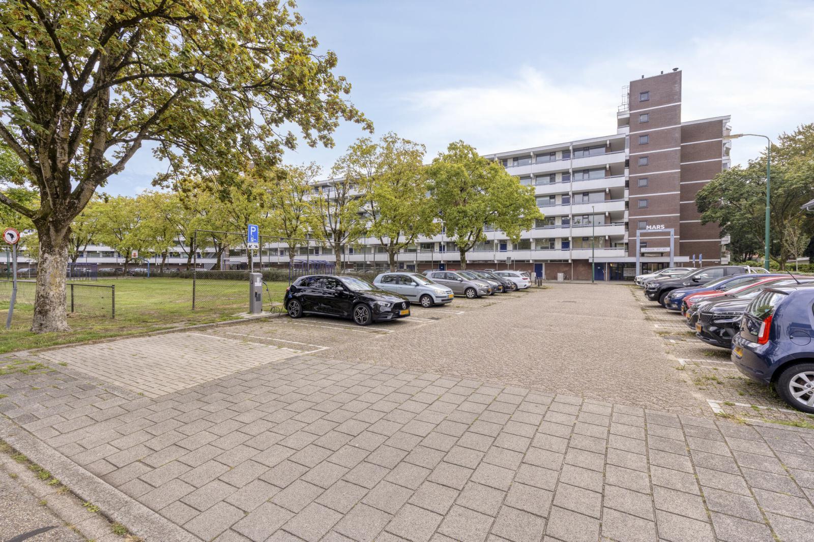 Pollux 375