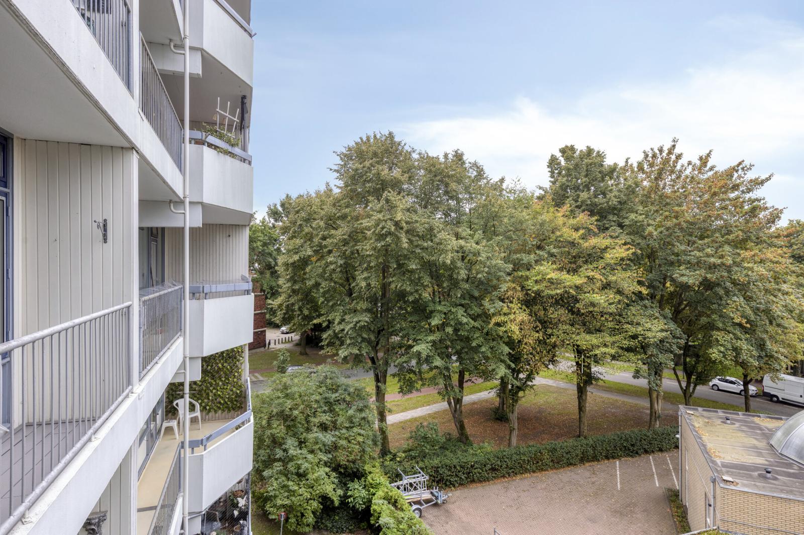 Pollux 375