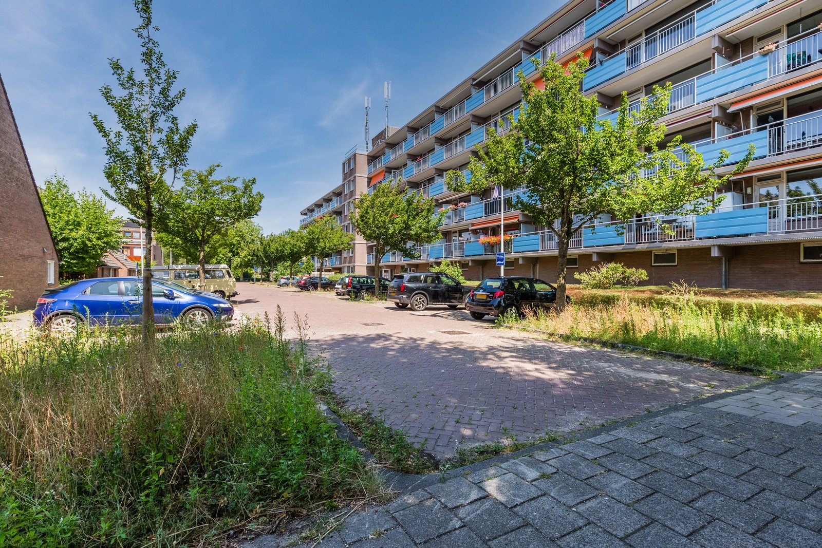 Dwarswatering 11