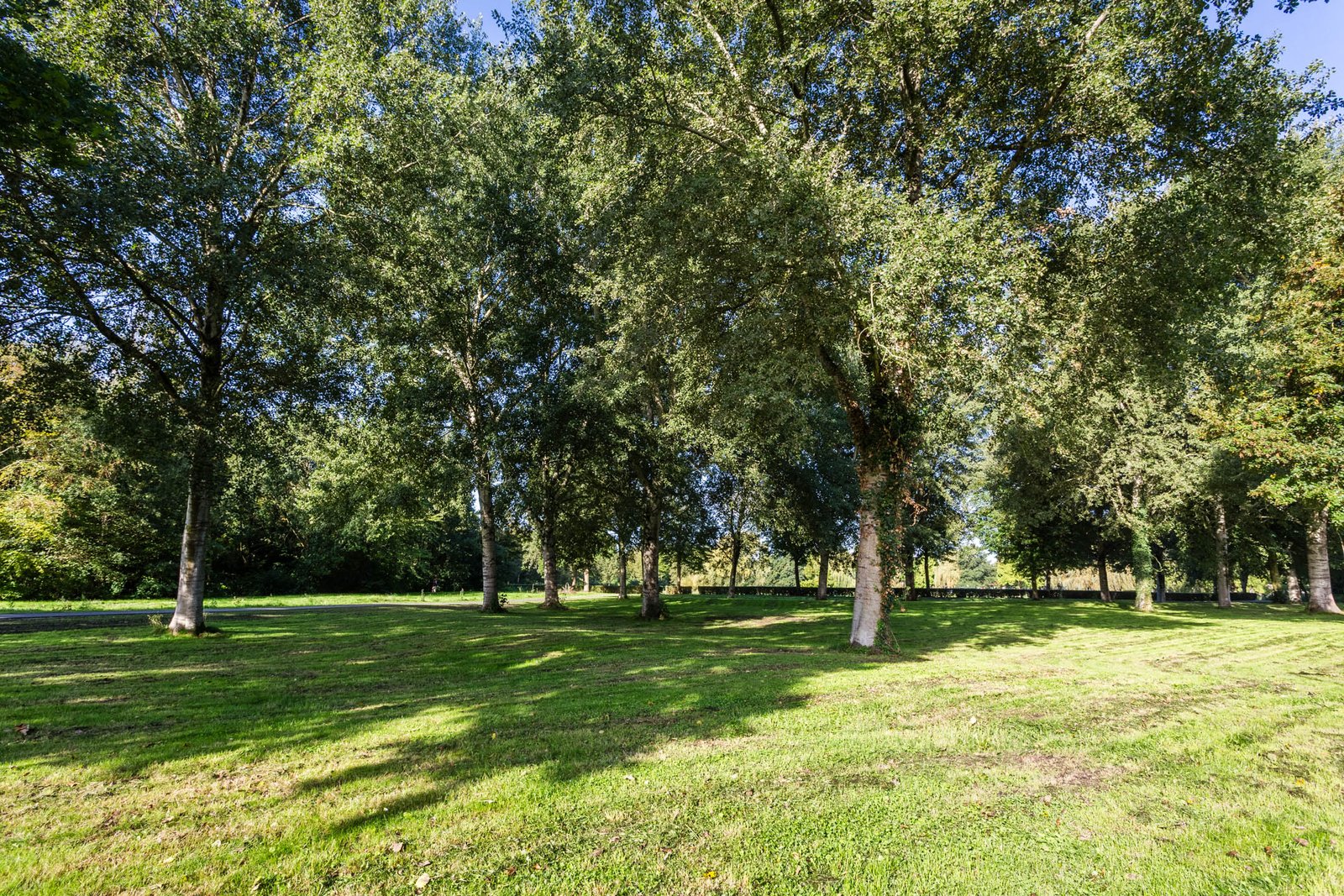 Ebenezer Howardpark 12