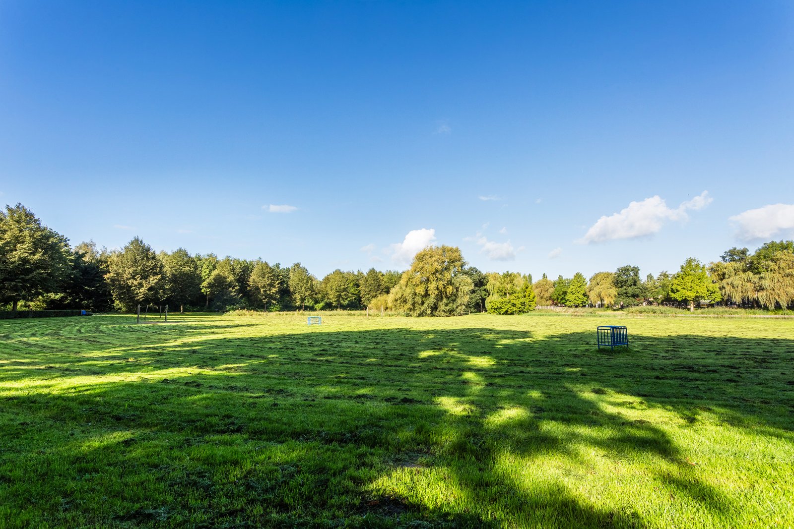 Ebenezer Howardpark 12