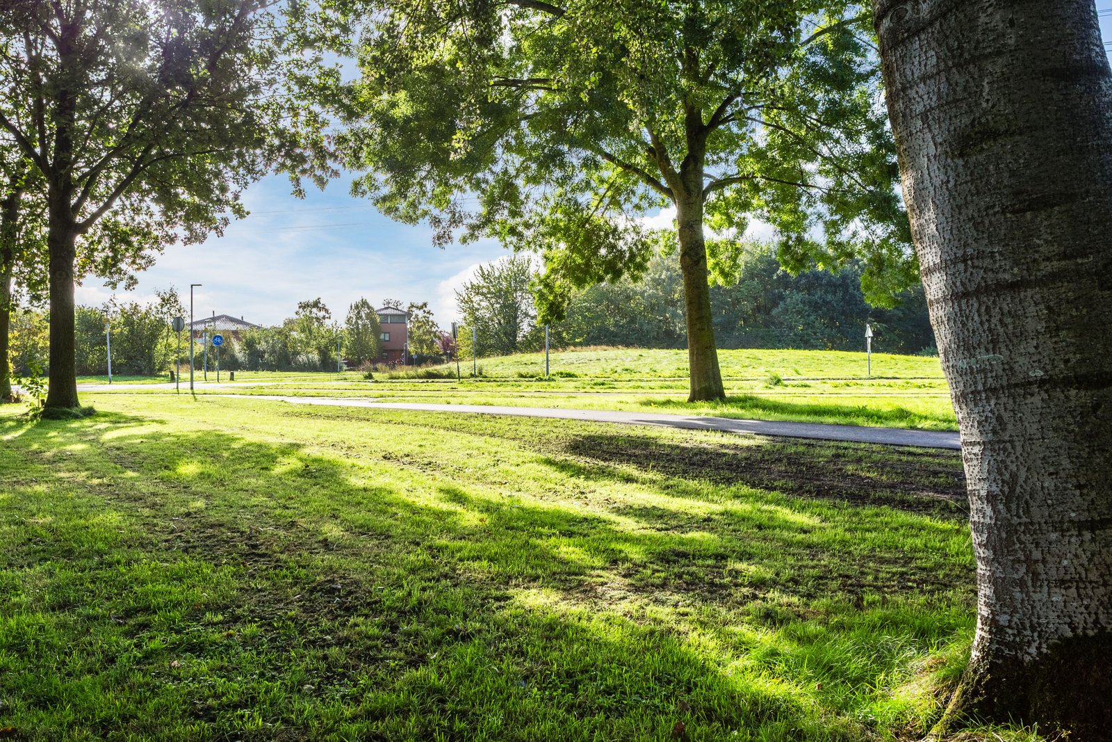 Ebenezer Howardpark 12