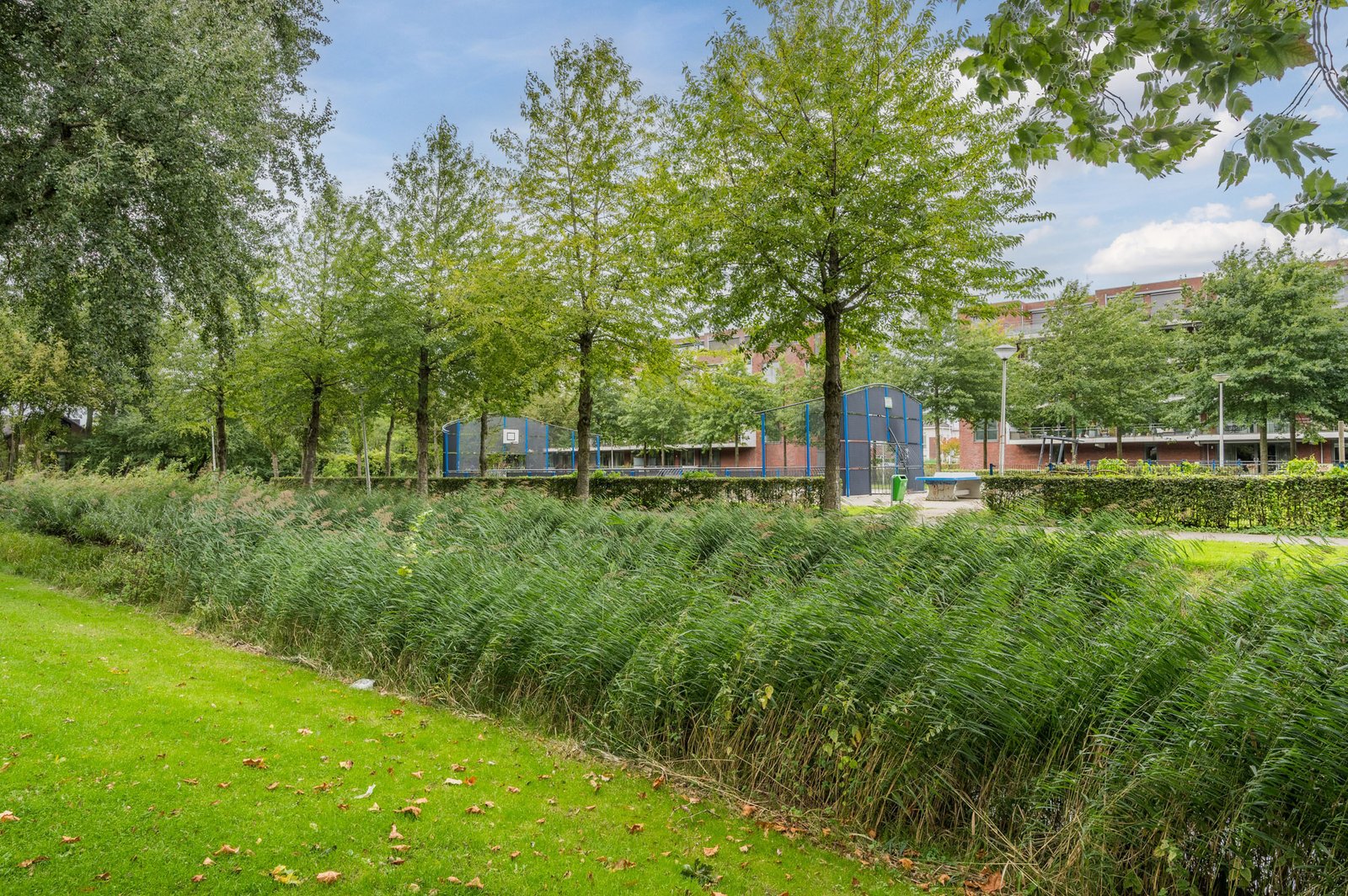 Gruttostraat 29
