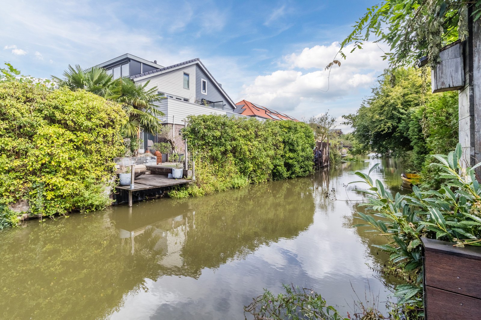 Pluimzegge 31