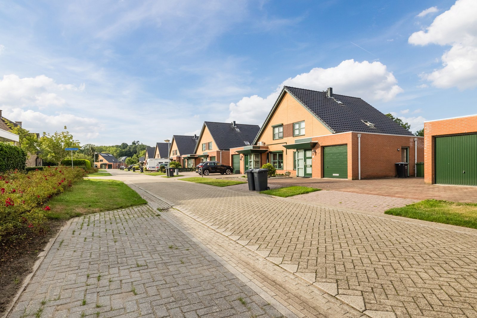 Vuurvlinder 21