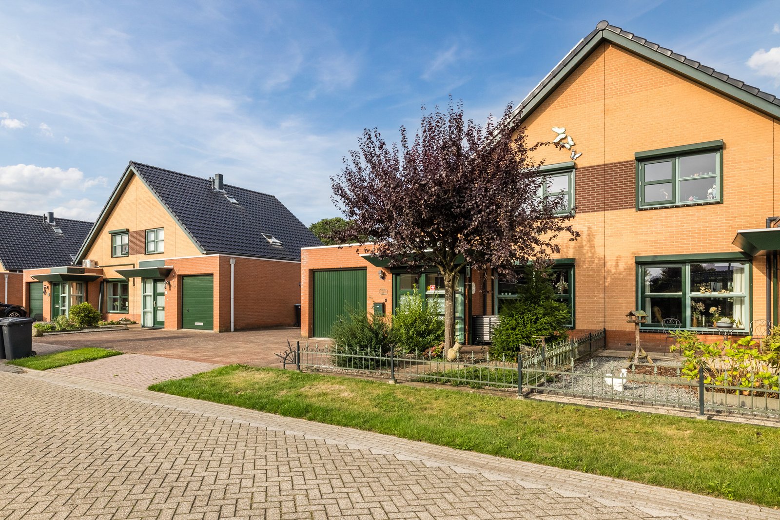 Vuurvlinder 21