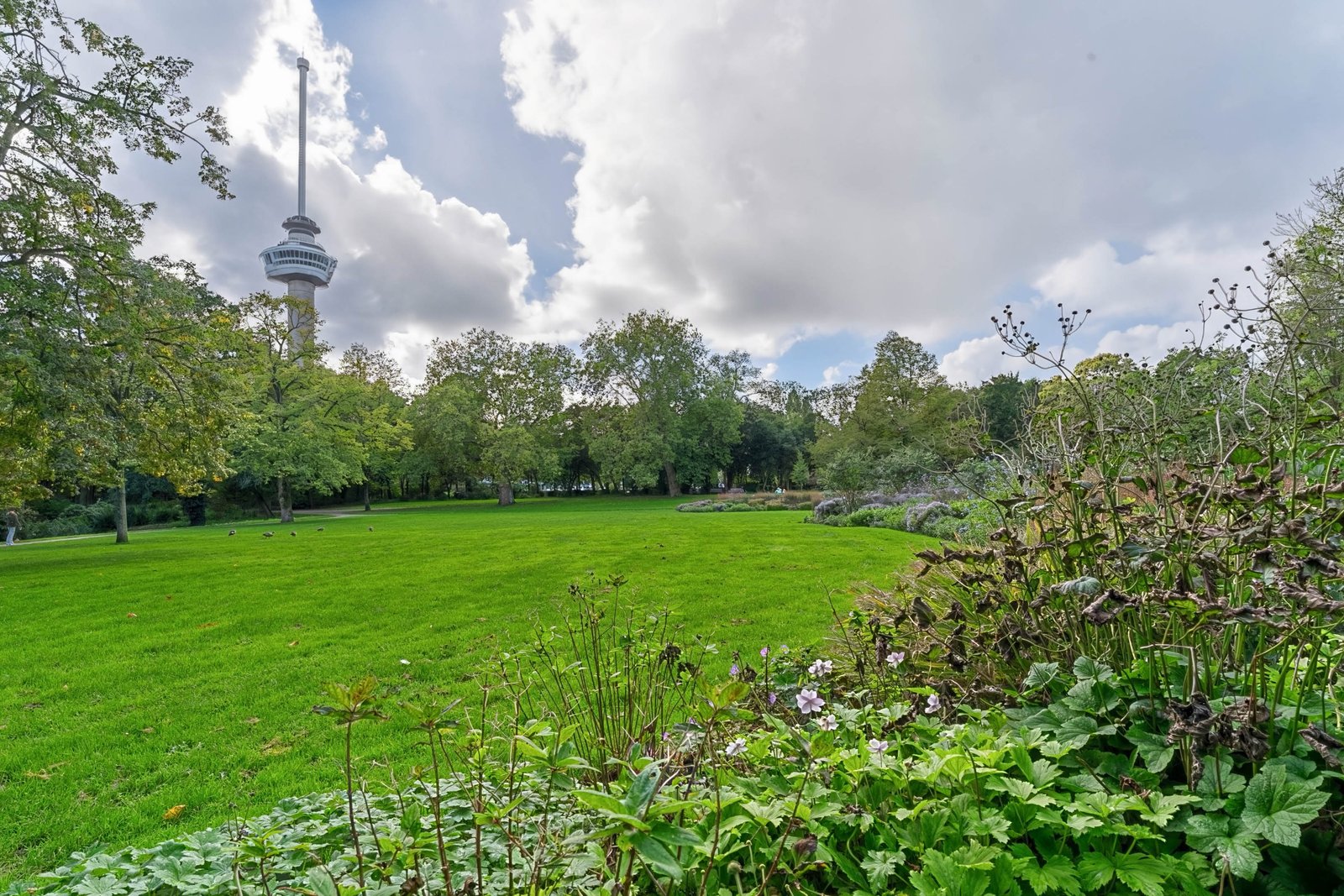 Westzeedijk 401