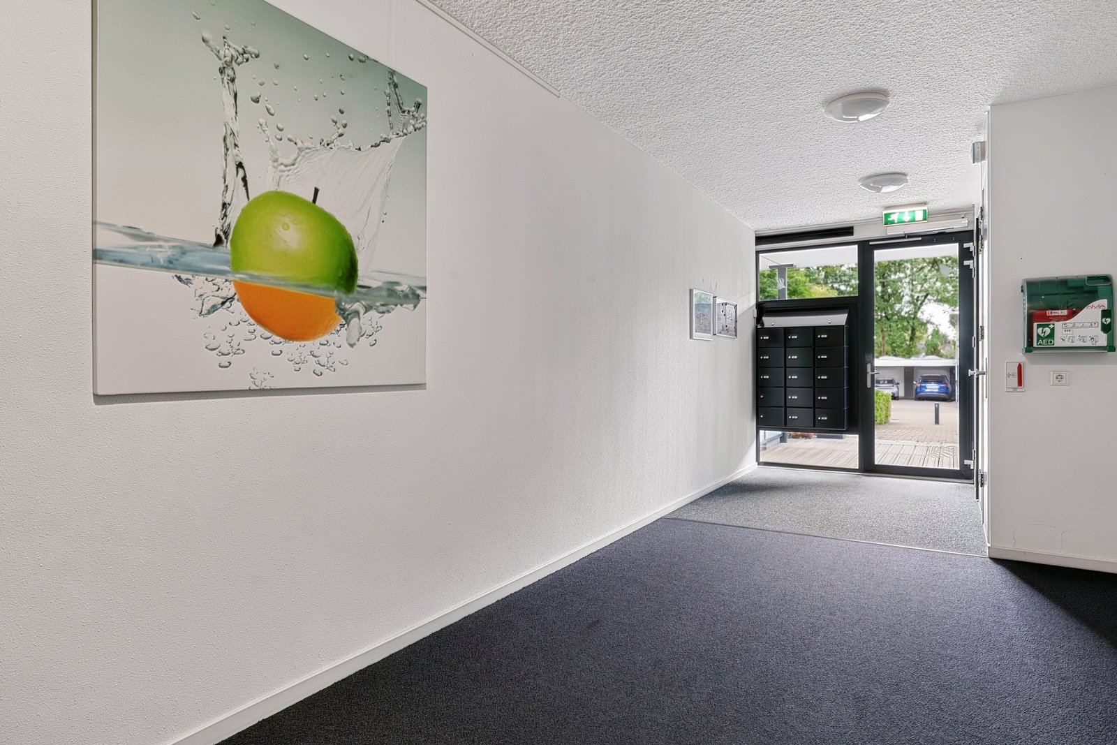 Steenbeek 58