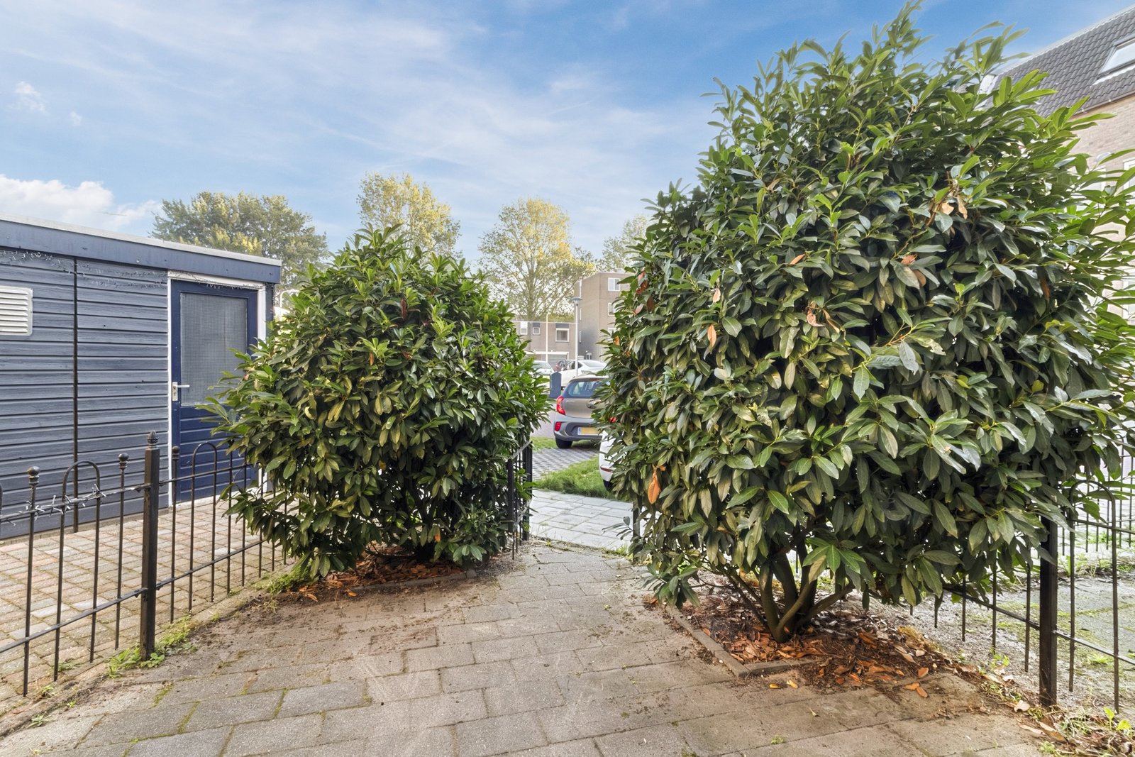 Ringspoor 67