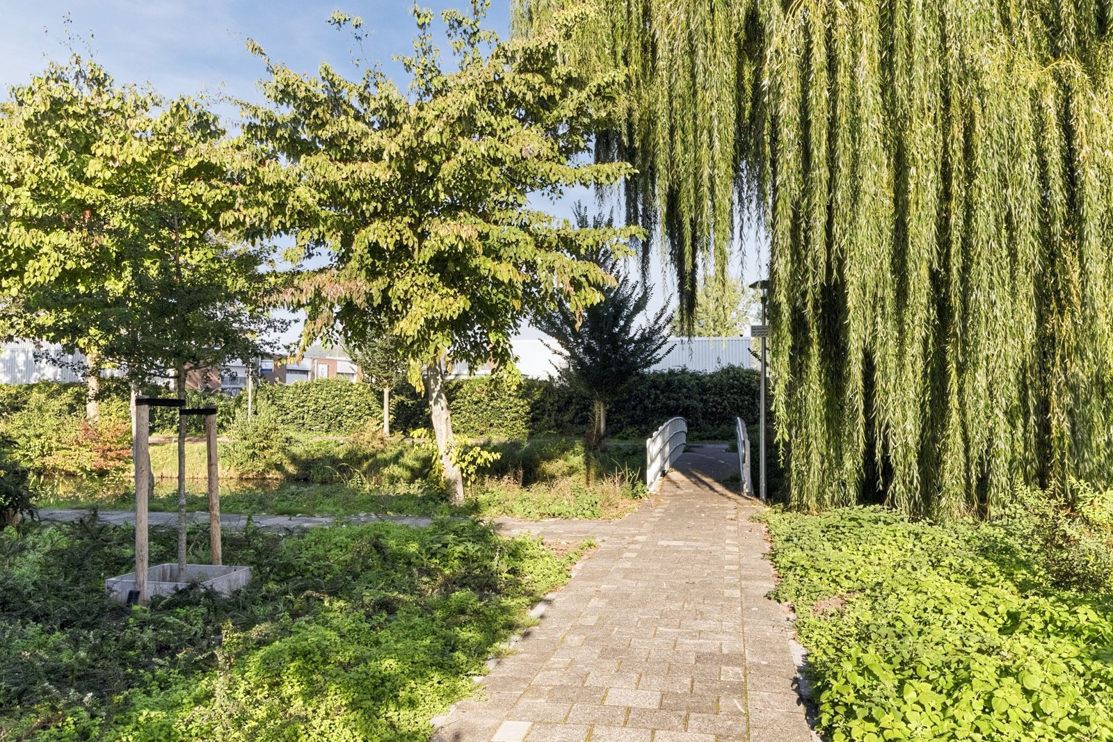 Ringspoor 67