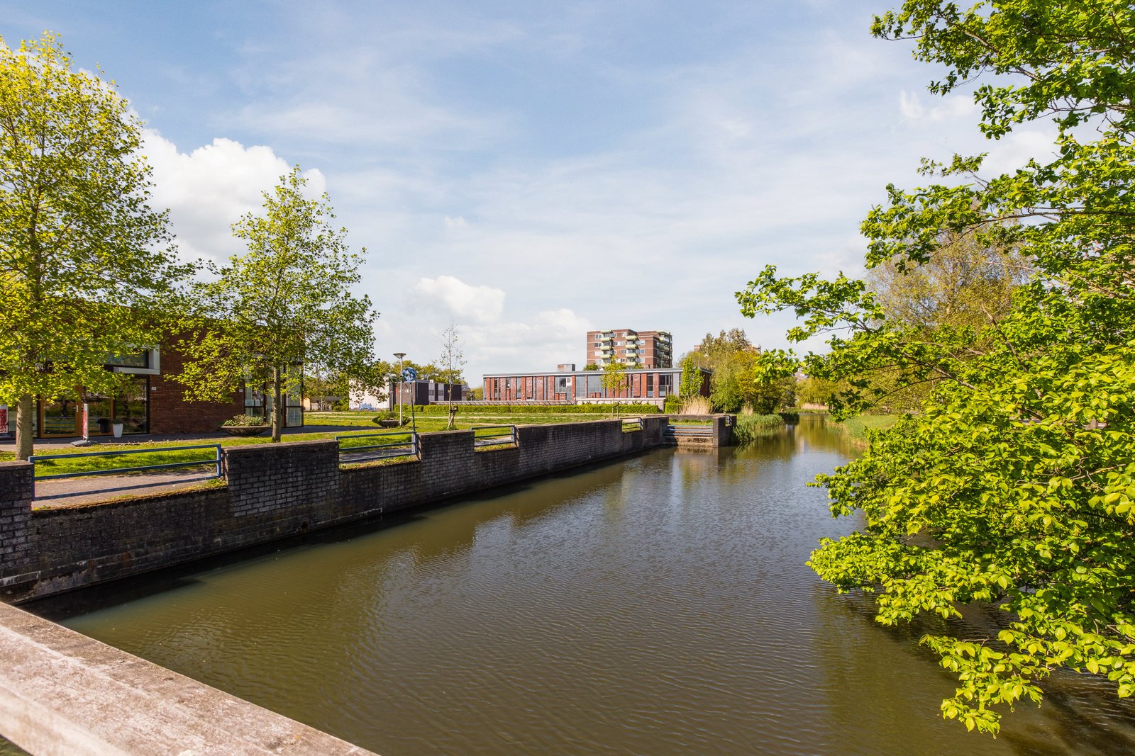 Zilverschoon 52