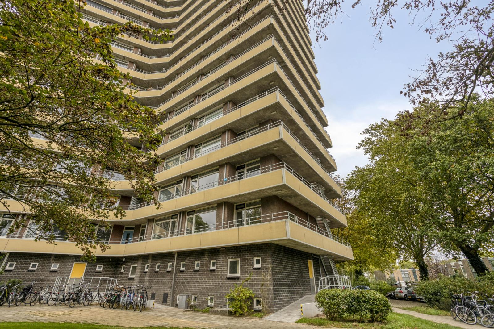 Albardaweg 59